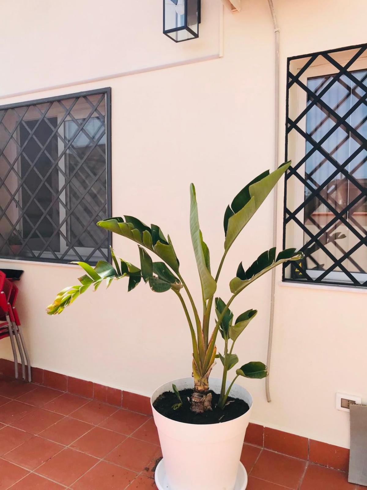 Lavica Di Mezzo Apartments Catánia Buitenkant foto
