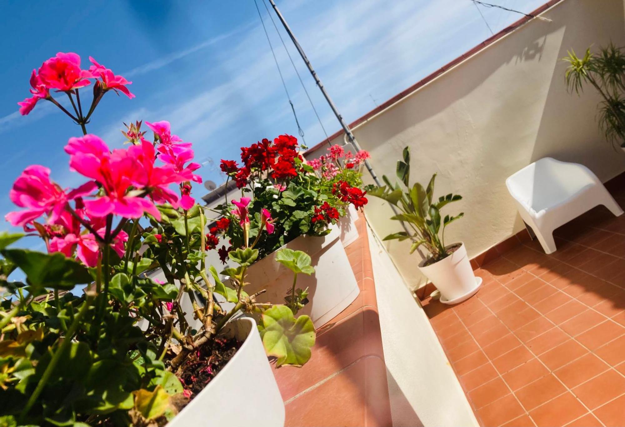 Lavica Di Mezzo Apartments Catánia Buitenkant foto